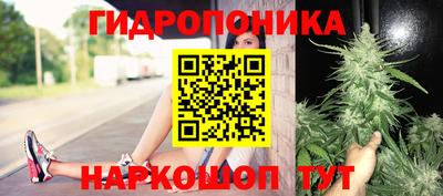 тгк Абинск